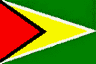 Flag of Guyana